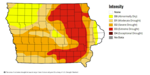The area of extreme drought in Iowa is larger than it’s been all year. (Courtesy of U.S. Drought Monitor)